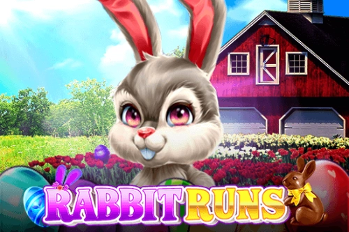 08994 rabbit runs
